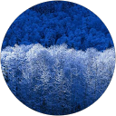 Justin Victor profile picture