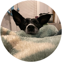 Alex profile picture